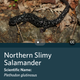 Illustration for article titled This New App Is Like Shazam for Your Nature Photos